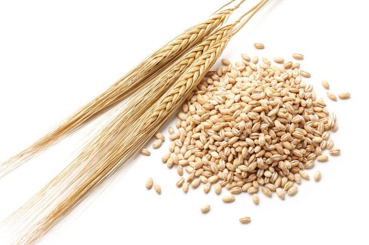 Is it Celiac or is it Gluten Sensitivity? Find Out Here