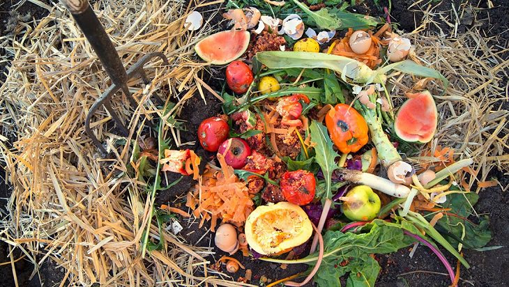 6 Easy Steps to Make a Compost