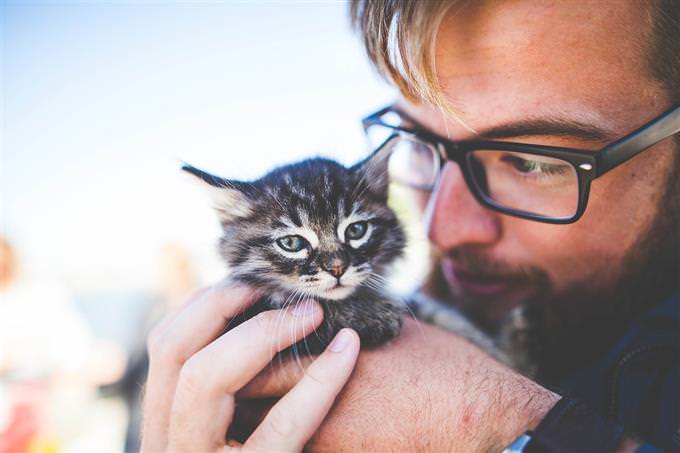 Man holding tiny kitty