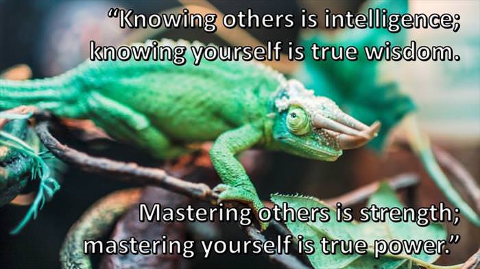 Lao-Tzu - Knowing others is intelligence; knowing yourself is true wisdom. Mastering others is strength; mastering yourself is true power.