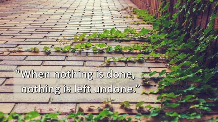 Lao-Tzu - When nothing is done, nothing is left undone.