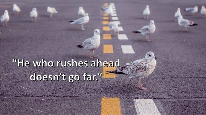 Lao-Tzu - He who rushes ahead doesn't go far.
