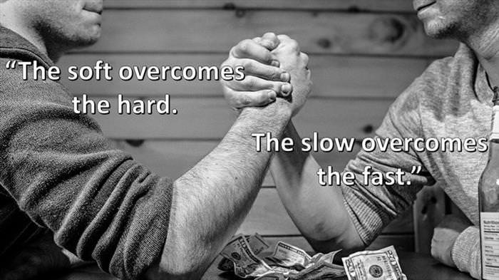 Lao-Tzu - The soft overcomes the hard. The slow overcomes the fast.
