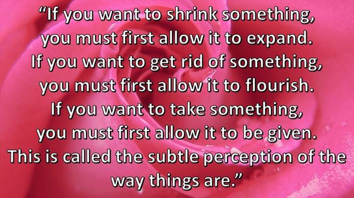 Lao-Tzu - If you want to shrink something, you must first allow it to expand. This is called the subtle perception of the way things are.