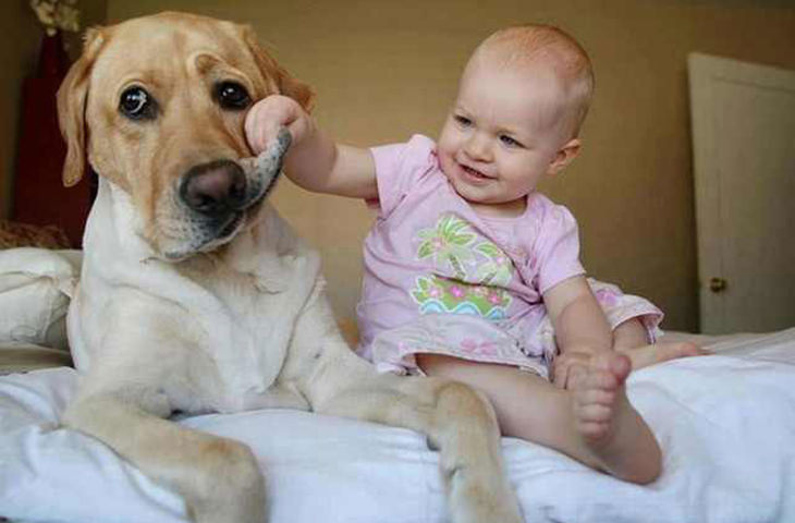 12 Benefits of Growing Up Around a Dog