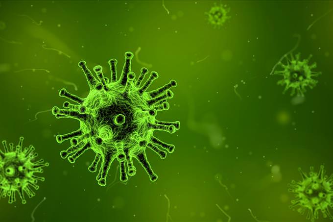 green virus close-up