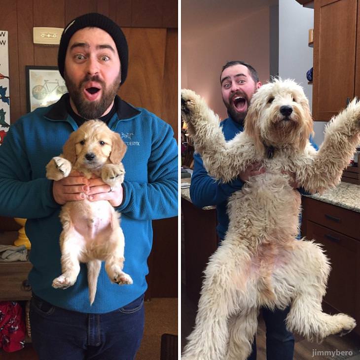 Before & After: Adorable Dogs