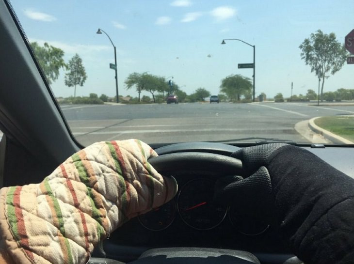 The Insane Effects of Arizona's Heatwave