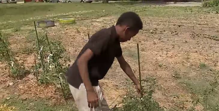 The Young Urban Gardener Fighting World Hunger