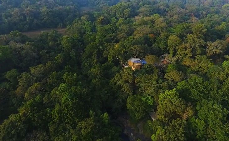 Incredible Couple Replant a Rainforest