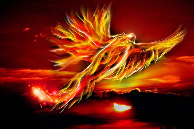 fire phoenix