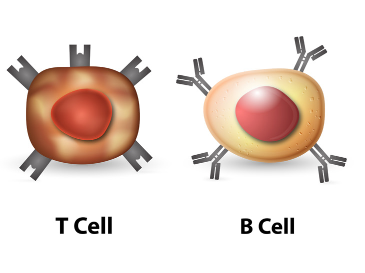 Leukemia