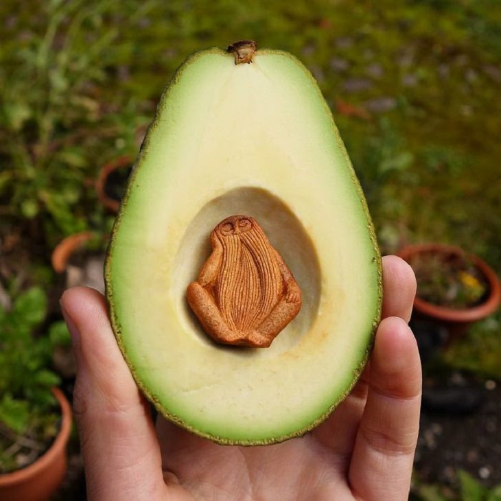 Great Avocado Seed Carvings
