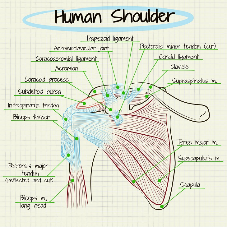 What's Causing Your Shoulder Pain?