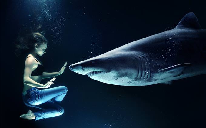 shark attacks girl