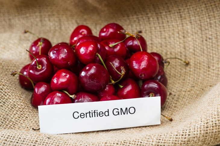 GMO tips