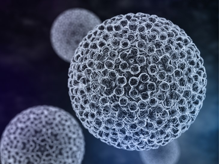 9 Interesting Facts Everyone Should Know About HPV