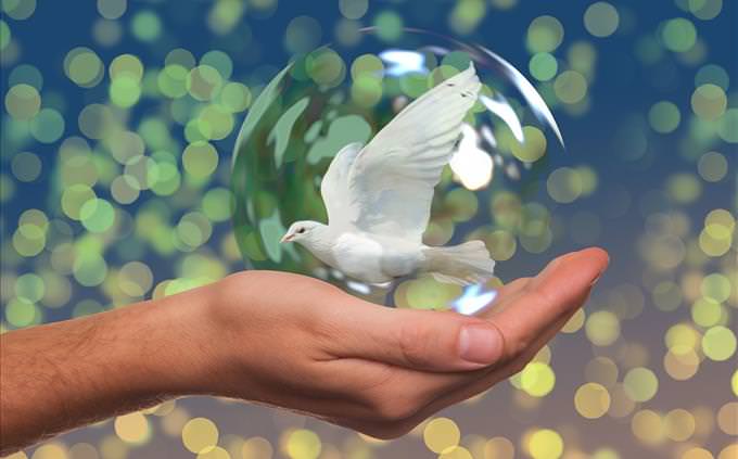 hand holding dove in bubble
