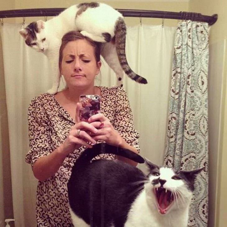 Cats Really, REALLY Don't Like Photos