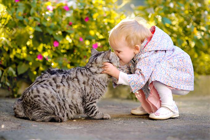 toddler kissing cat