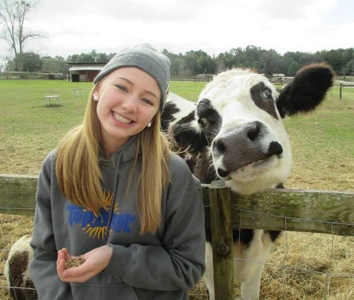 Cows Who Think They're Dogs