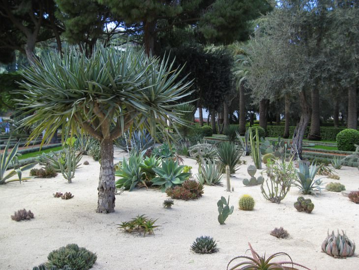 Explore the Hanging Gardens of Haifa