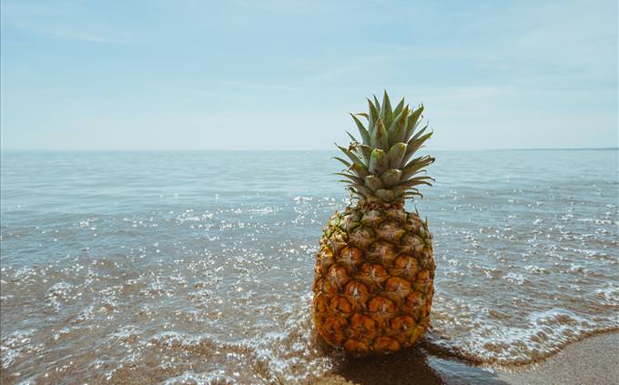pineapple by the sea