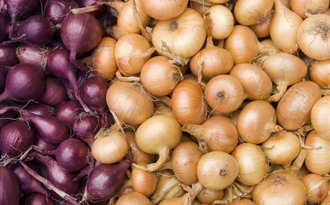 different kinds of onions