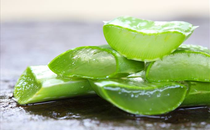 sliced aloe vera