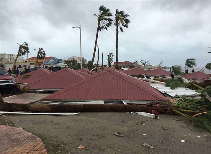 Damage Caused by Hurricane Irma