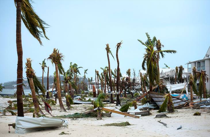 Damage Caused by Hurricane Irma