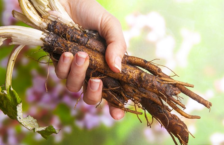 This Root Tea Will Start Your Journey to a Healthier Life