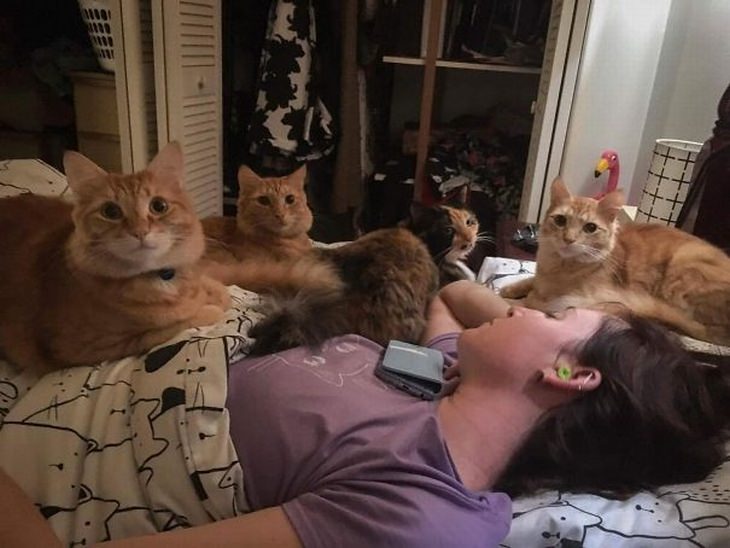 multiple-pets