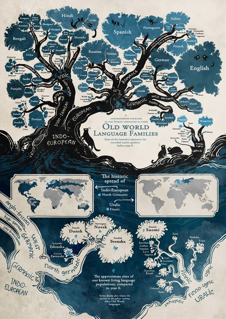 The Way Our Languages Are Connected