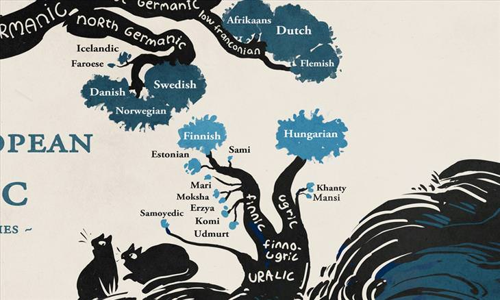 The Way Our Languages Are Connected