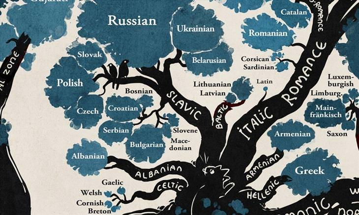 The Way Our Languages Are Connected