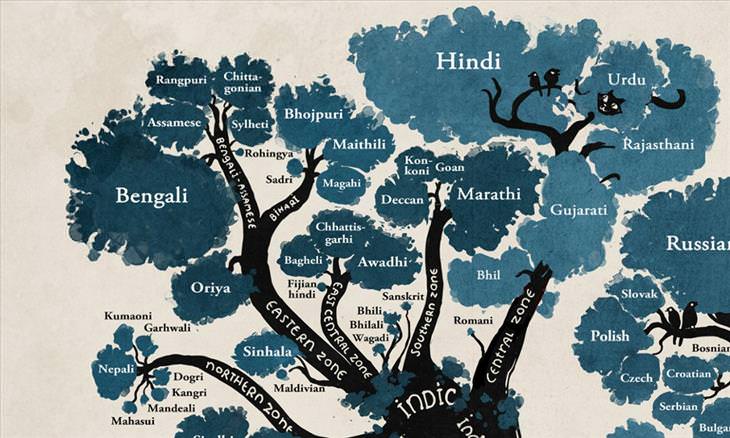 The Way Our Languages Are Connected