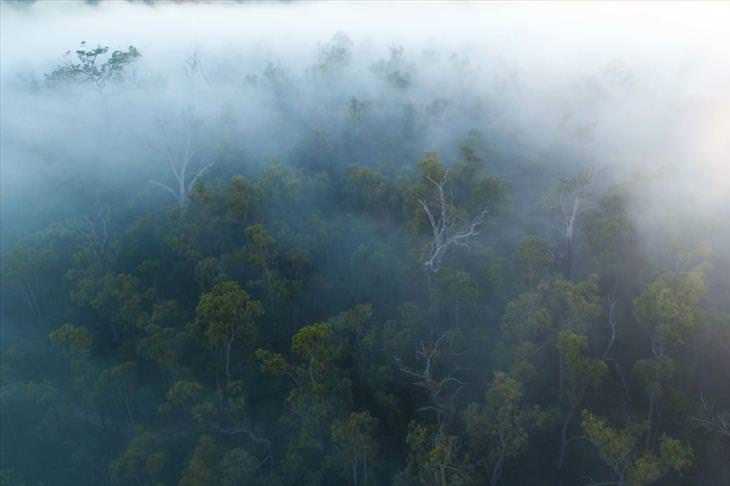 Australia in WInter