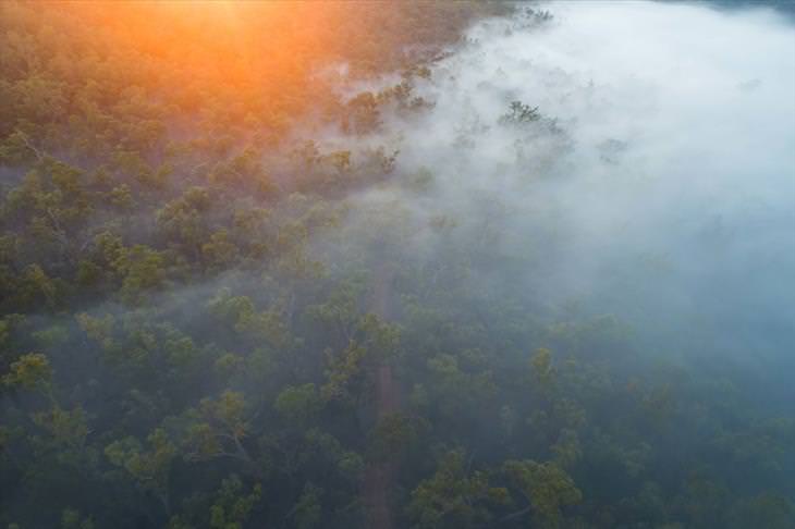 Australia in WInter