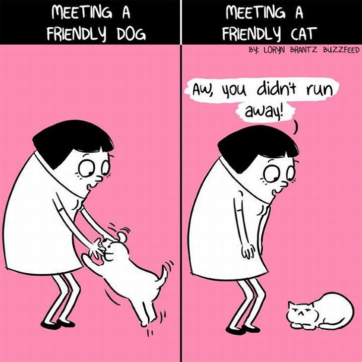 20 Hilarious Memes Showing Cat & Dog Differences