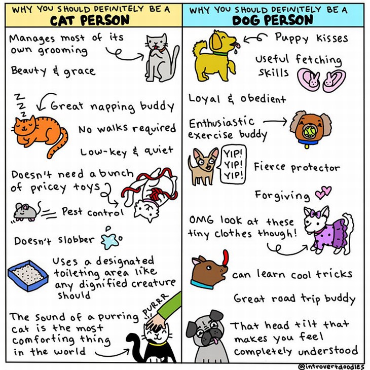 cats-and-dogs