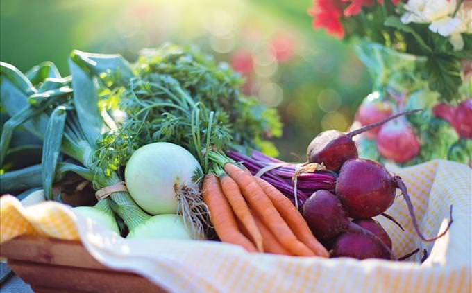 basket of vegetables