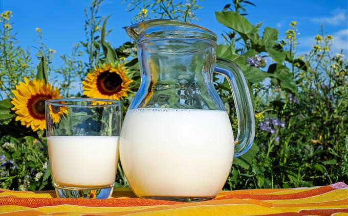 2 jugs of milk outdoors