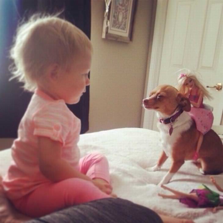 funny photos of kids and pets