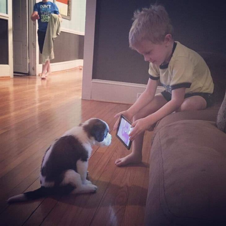 funny photos of kids and pets