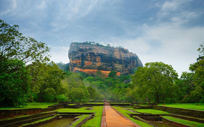 Sri Lankan fields