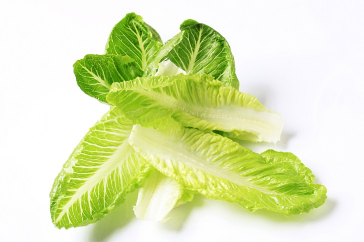 Romaine Lettuce