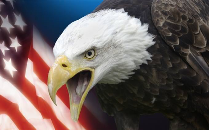 eagle in front of US flag