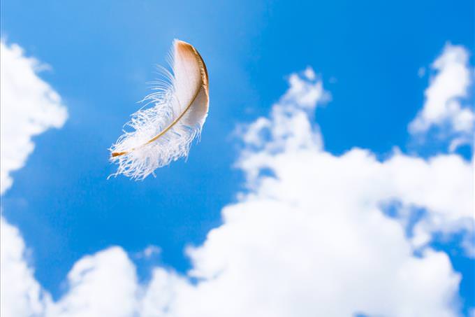 feather falling from the sky