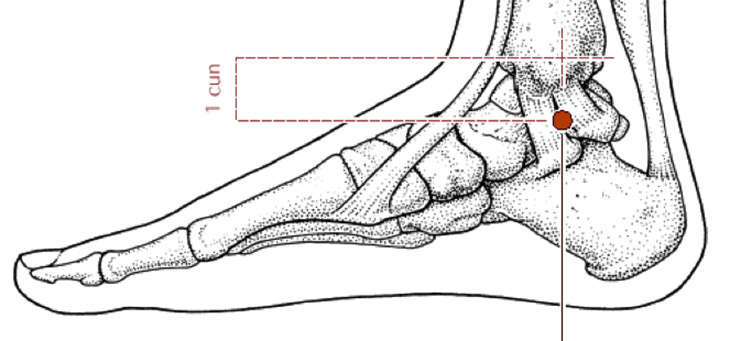 pressure points for allergies